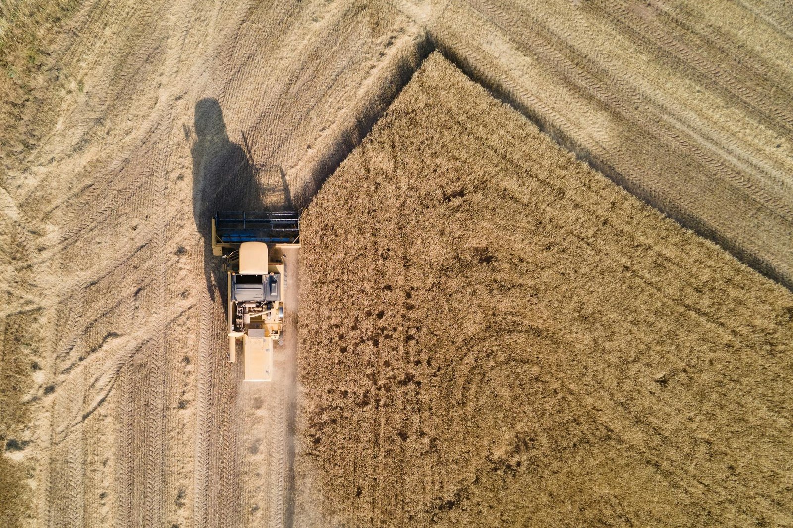 Drone shot of a combine harvester working through a golden wheat field during harvest.